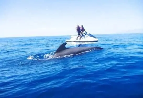 Ocean View Elegant Magic Appartement Palm-mar