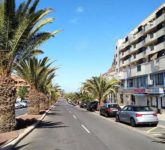 Ocean View Elegant Magic Palm-mar